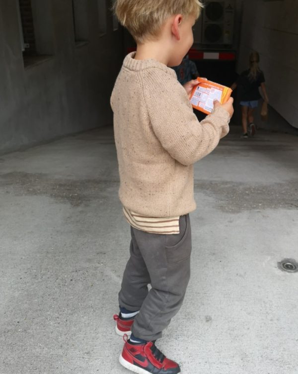 KIDS Lil' Atelier Egalto knit Brown