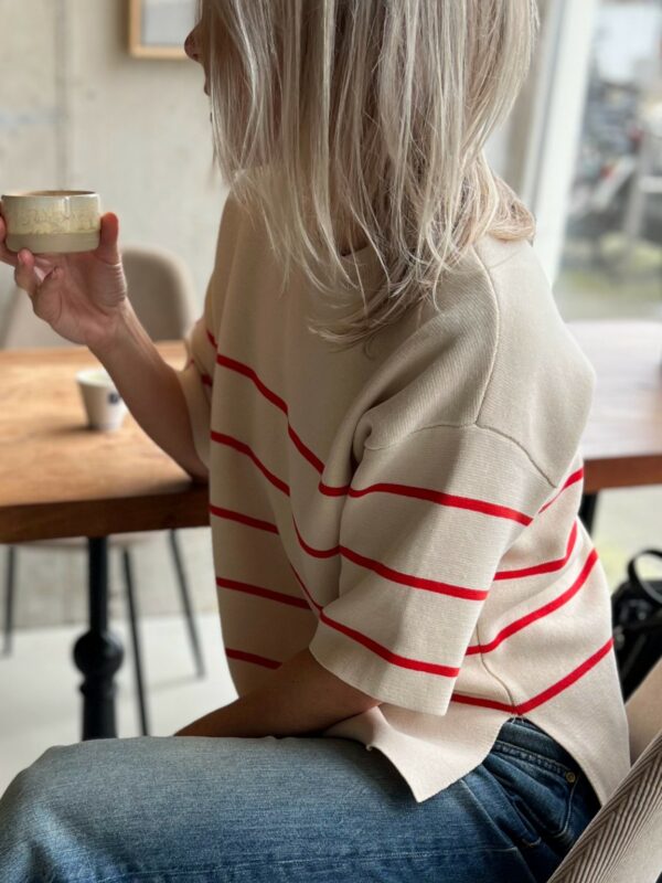 Selected Femme Liva top Red stripe