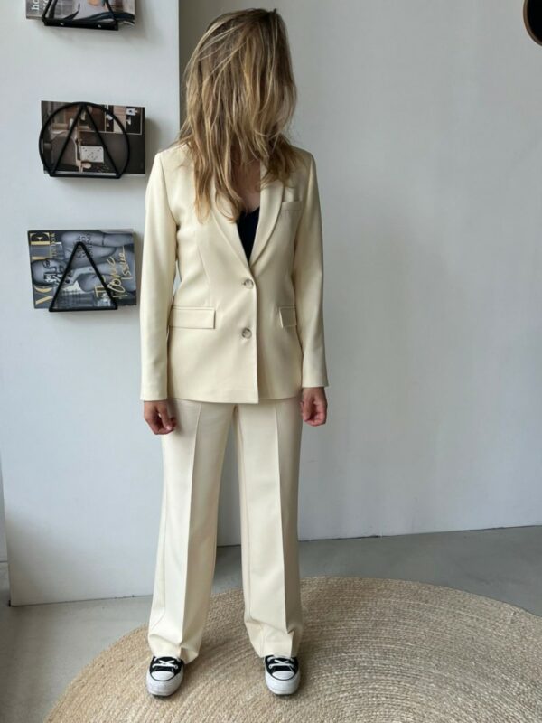 Selected Femme Rita pants Birch